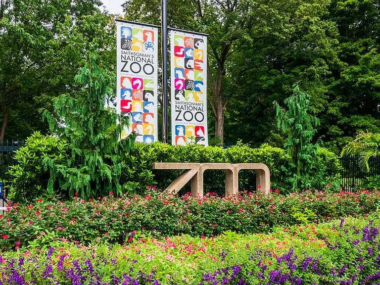 Less than a mile away from adventures at the Smithsonian National Zoological Park.