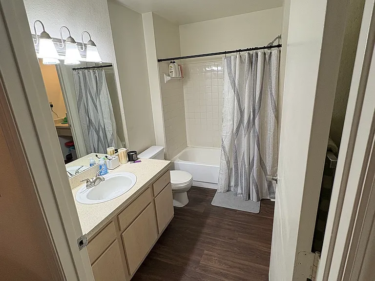 bathroom from the apartment entrance