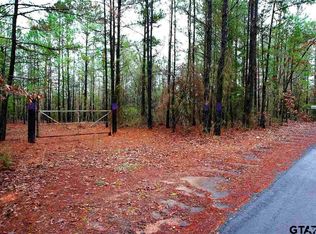 2 County Road 4420, Winnsboro, TX 75494