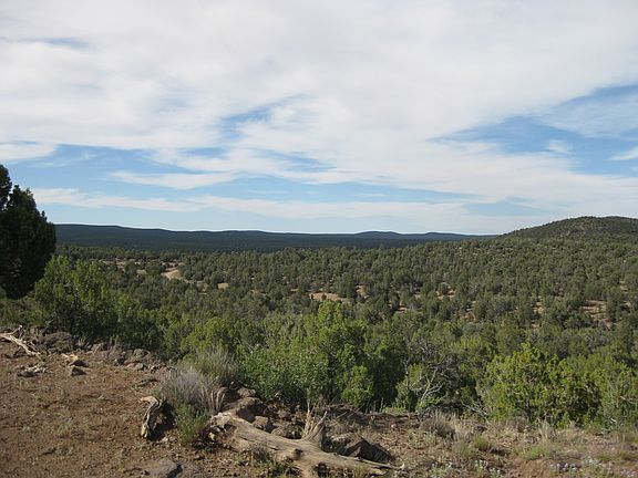 4th image of 0 Covey Hollow Willow Creek Rnch #5