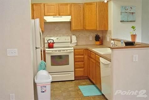 A modern efficient kitchen with everything you might need