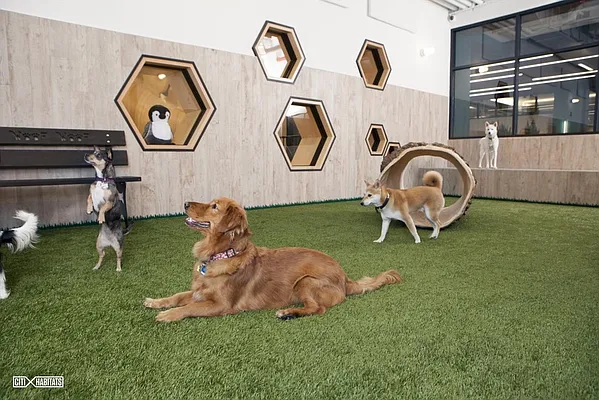 Rented by Citi Habitats | media 52