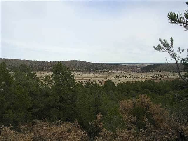 1st image of 117 Vlromeroville