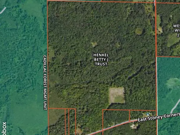 V/l E Stony Corners Rd, Falmouth, MI 49632