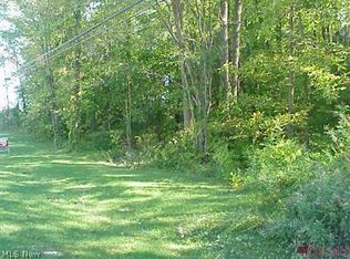 Ryan Rd, Medina, OH 44256