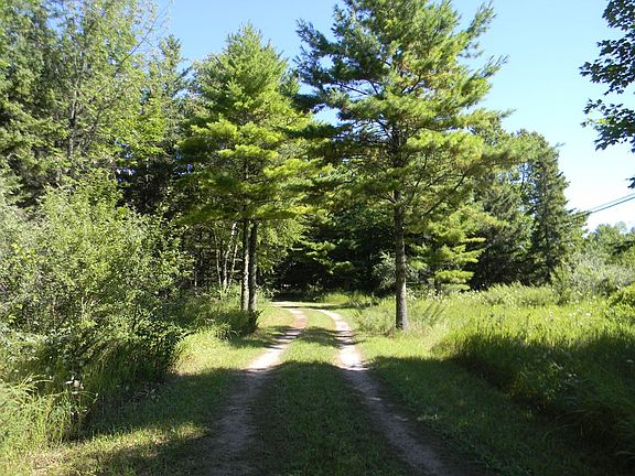 2nd image of 11267 State Highway 42 #2