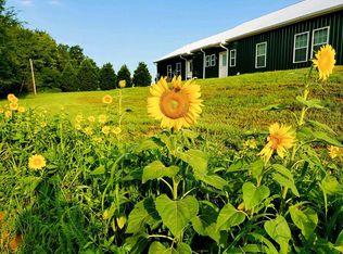 148 Wheeler Cv, Springville, TN 38256