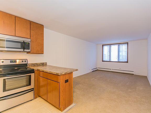 5th image of 1355 N Dearborn Pkwy #307