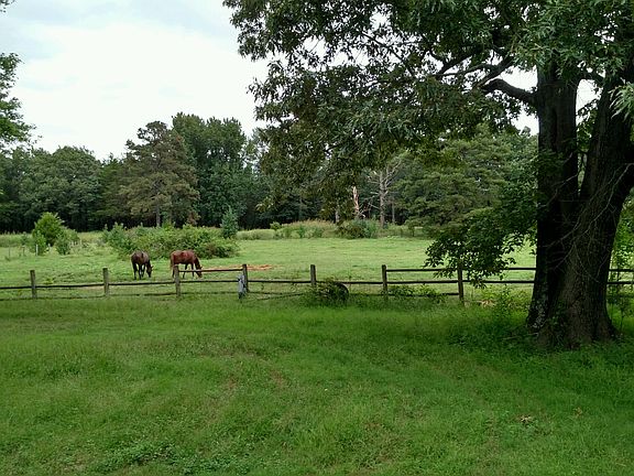 5th image of 438 County Road 3281