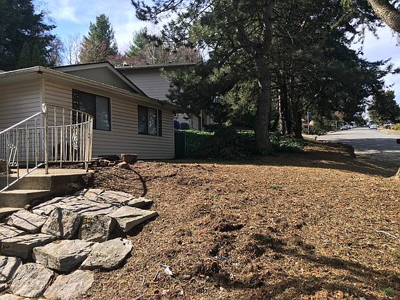Front yard, grass planted