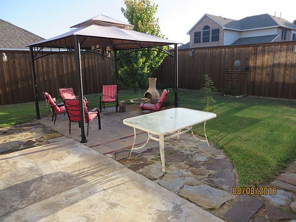 Back Yard - Morning