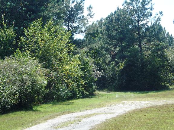 2nd image of Tract 1 Chickadee Lane