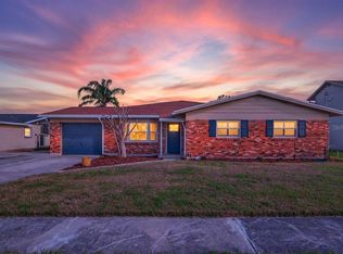 8711 BAY CREST LANE, TAMPA, FL 33615