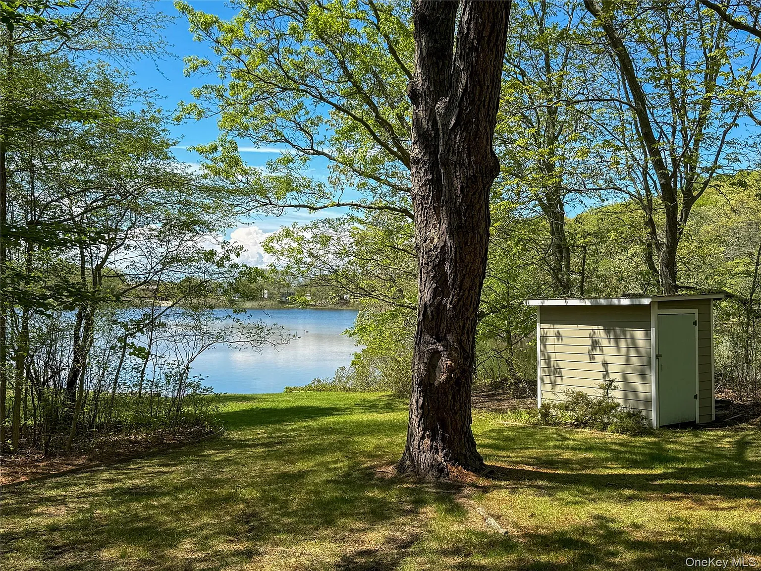 2 bed, 1.0 bath, 750 sqft, $4,000 — Photo 3