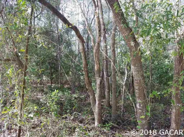 00 NE 80th Ave, High Springs, FL 32643