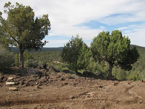 3rd image of 0 Covey Hollow Willow Creek Rnch #5