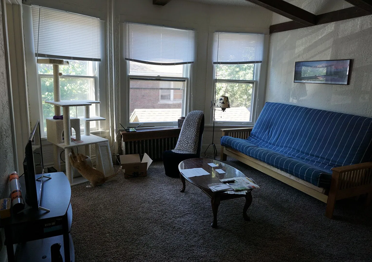 17 — Photo 3