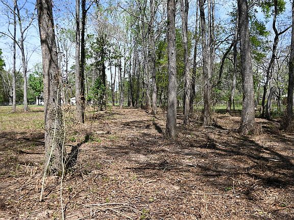 3rd image of LOT 6 County Road 2360