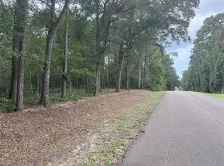 1 N Lake Shore Dr, Conroe, TX 77303