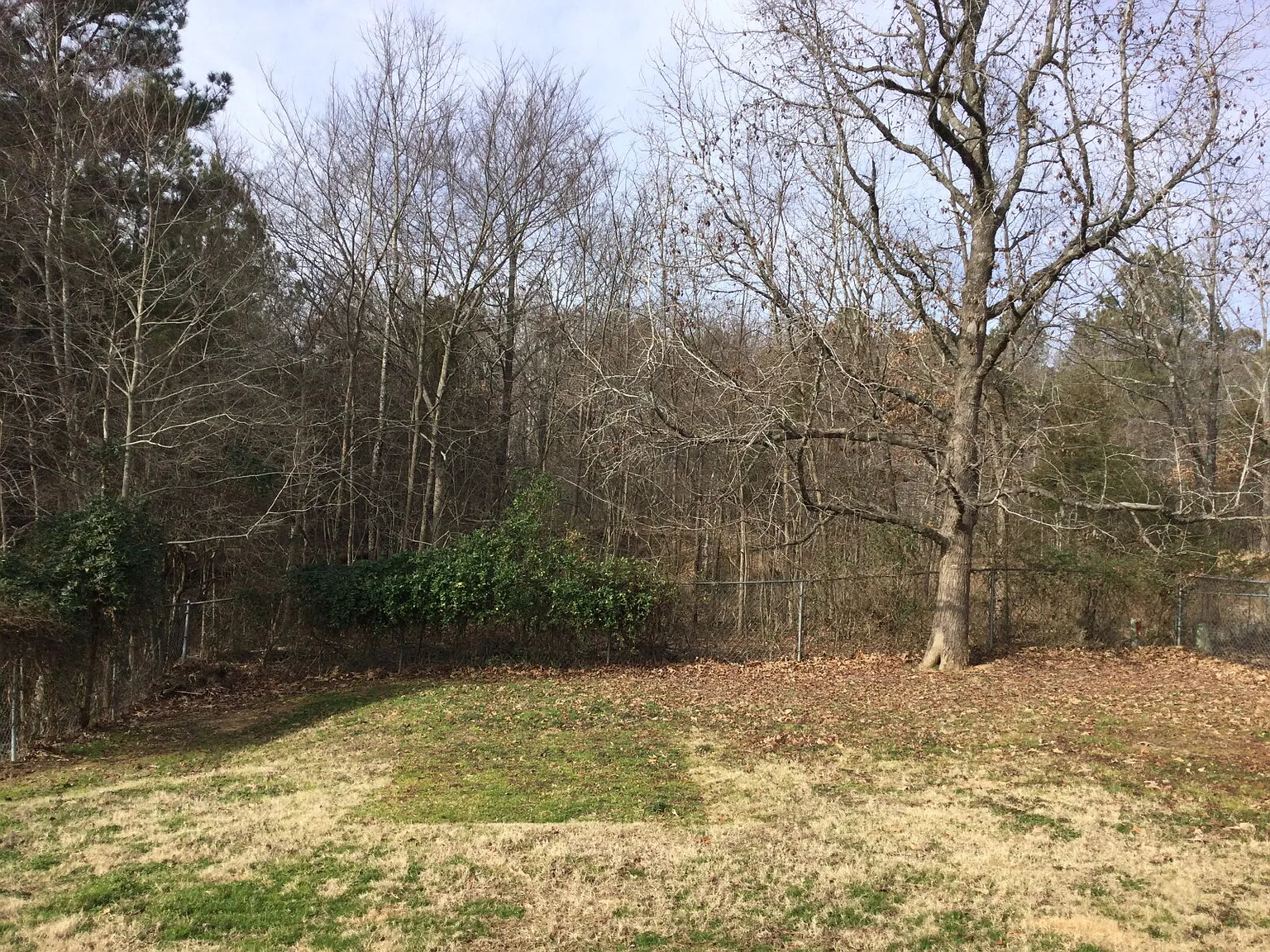 2 bed, 1.0 bath, 856 sqft, $1,150 — Photo 4