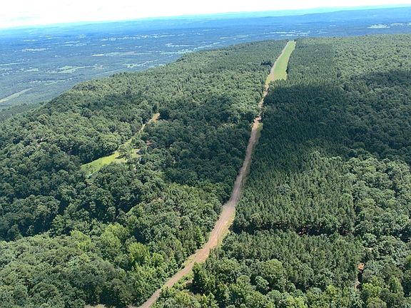 2nd image of Spring Mountain Airstrip