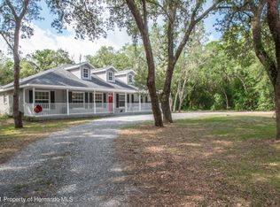 34102 Umbrella Rock Dr, Webster, FL 33597