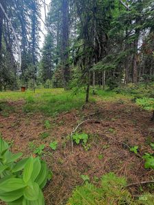 2145 Lydia Dr, Donnelly, ID, 83615