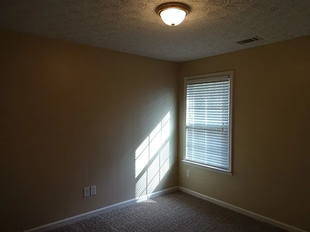 1633 Virgil Pond Ln — Photo 12