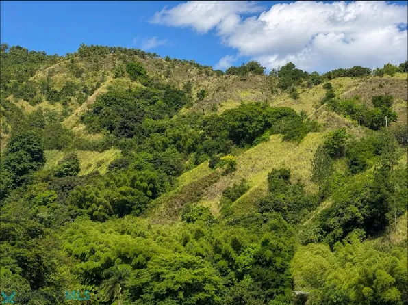 0 Carretera Prairie Km #606-0.4, Utuado, PR 00641