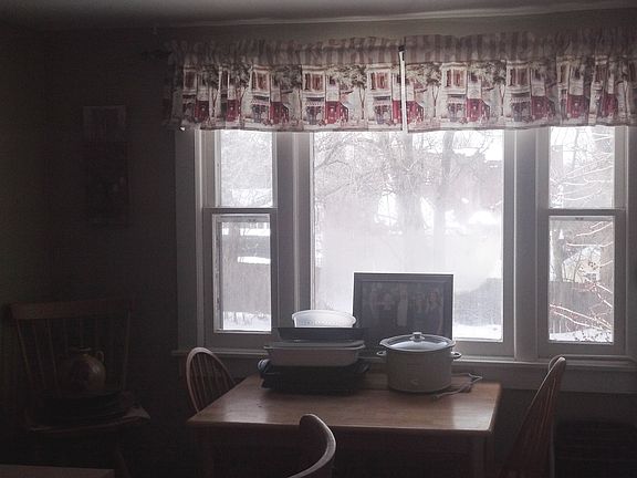 kitchen window, back yard
