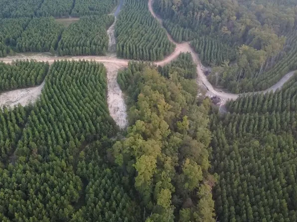 TRACT 2C Avalon Lake Ln, Mena, AR 71953