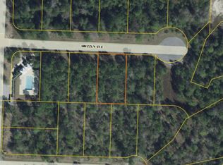 25 Grizzly St W, Freeport, FL 32439