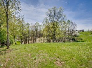 Chaucer Ct, Johnson City, TN 37615