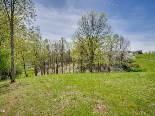 Chaucer Ct, Johnson City, TN 37615