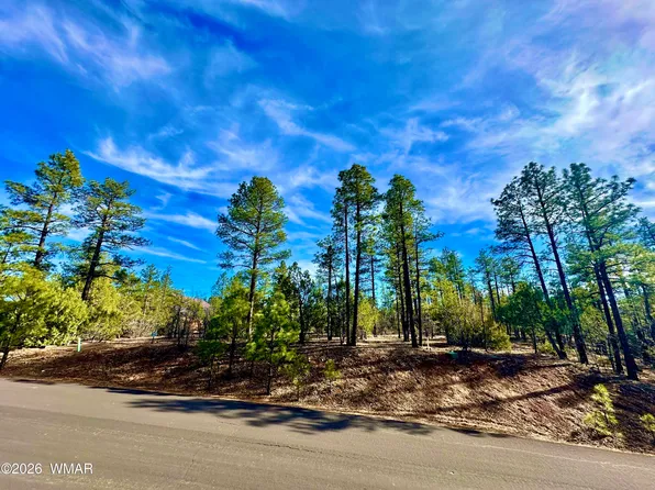 321 W Aspen Trl, Show Low, AZ 85901