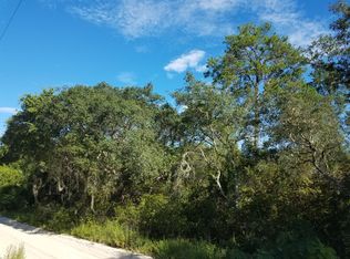 NE 239th Ln, Fort McCoy, FL 32134