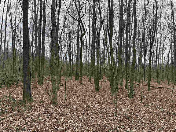 5th image of 11338 Monterey Rd