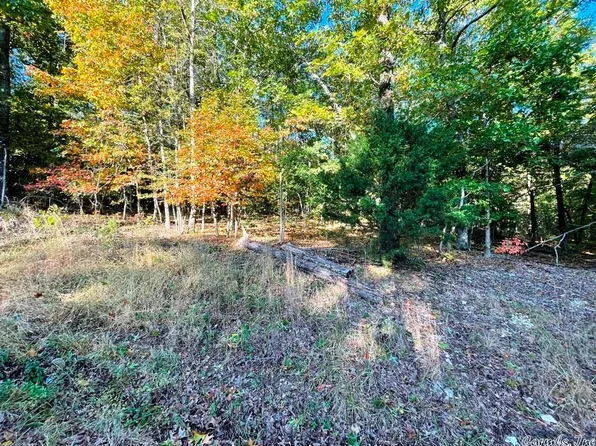 603 W Tongie Point, Horseshoe Bend, AR 72512
