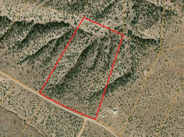 LOT 193 Campfire Rd, Magdalena, NM 87825