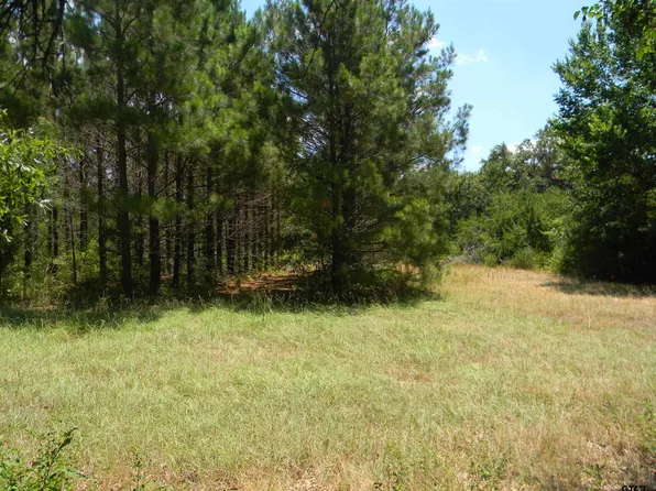 13650 Fm 314 N, Brownsboro, TX 75756