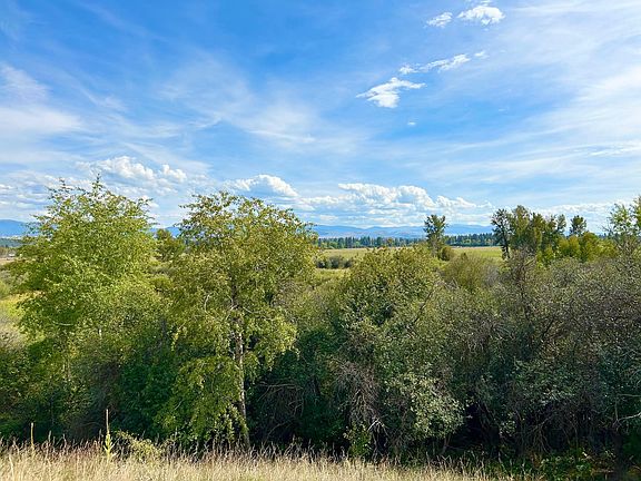 5th image of Nhn Wildlife Way