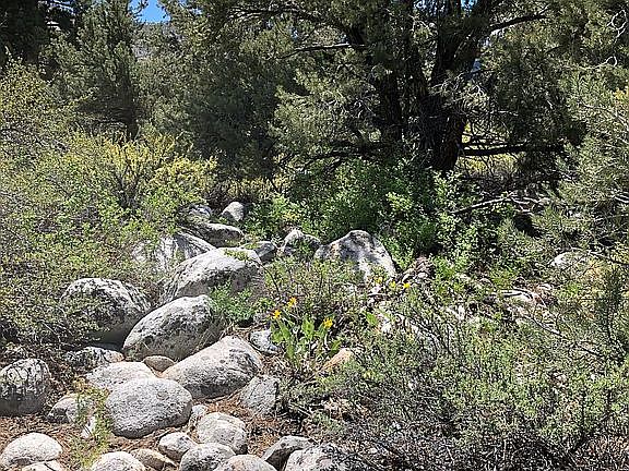 4th image of 0 Juniper Dr