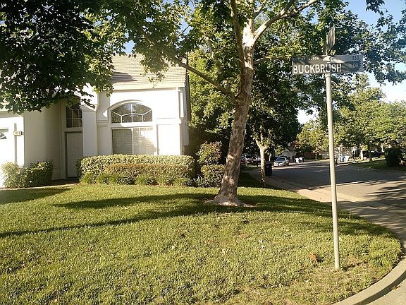 2nd image of 1128 Buckbrush Dr