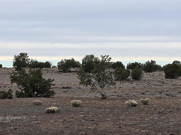 5th image of 214B Juniper Woods