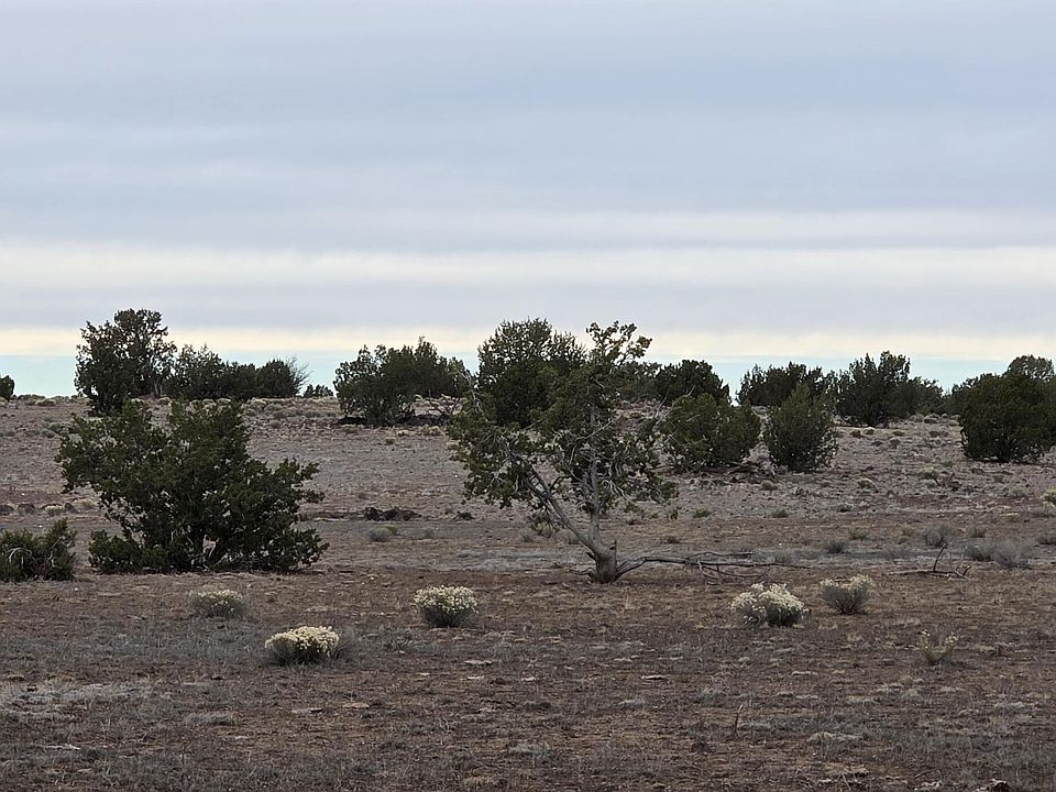 1st image of 214D Juniper Woods