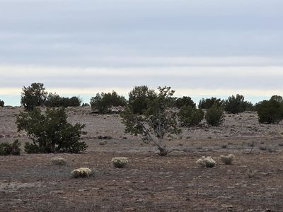214D Juniper Woods, Ash Fork, AZ, 86320