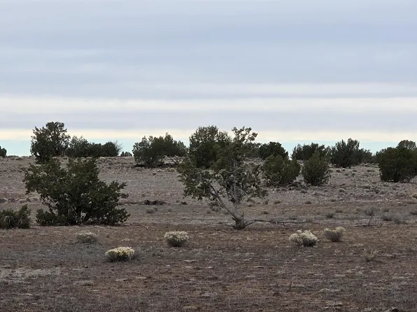 214D Juniper Woods, Ash Fork, AZ 86320