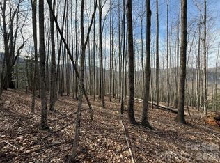 1029 Chippawa Dr #67, Arden, NC 28704