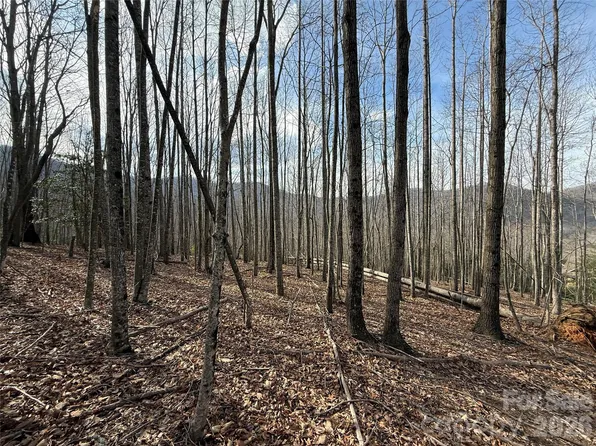 1029 Chippawa Dr #67, Arden, NC 28704