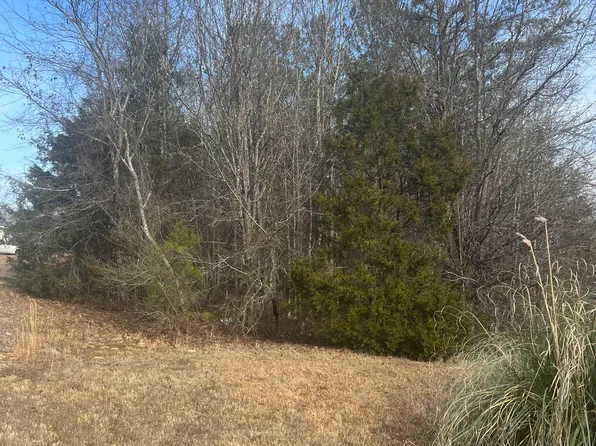 198 Gregory Dr, Martin, GA 30557